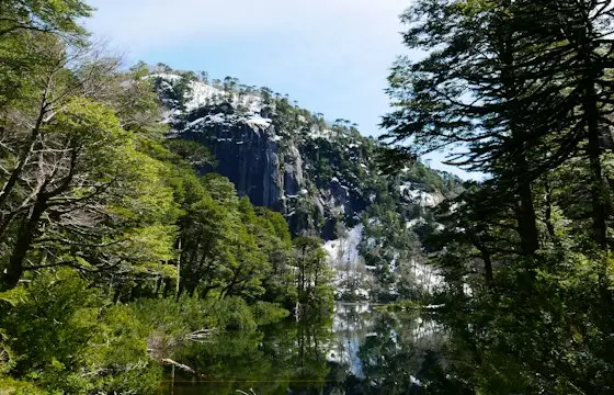 Bosque nativo y roca con nieve junto a un lago